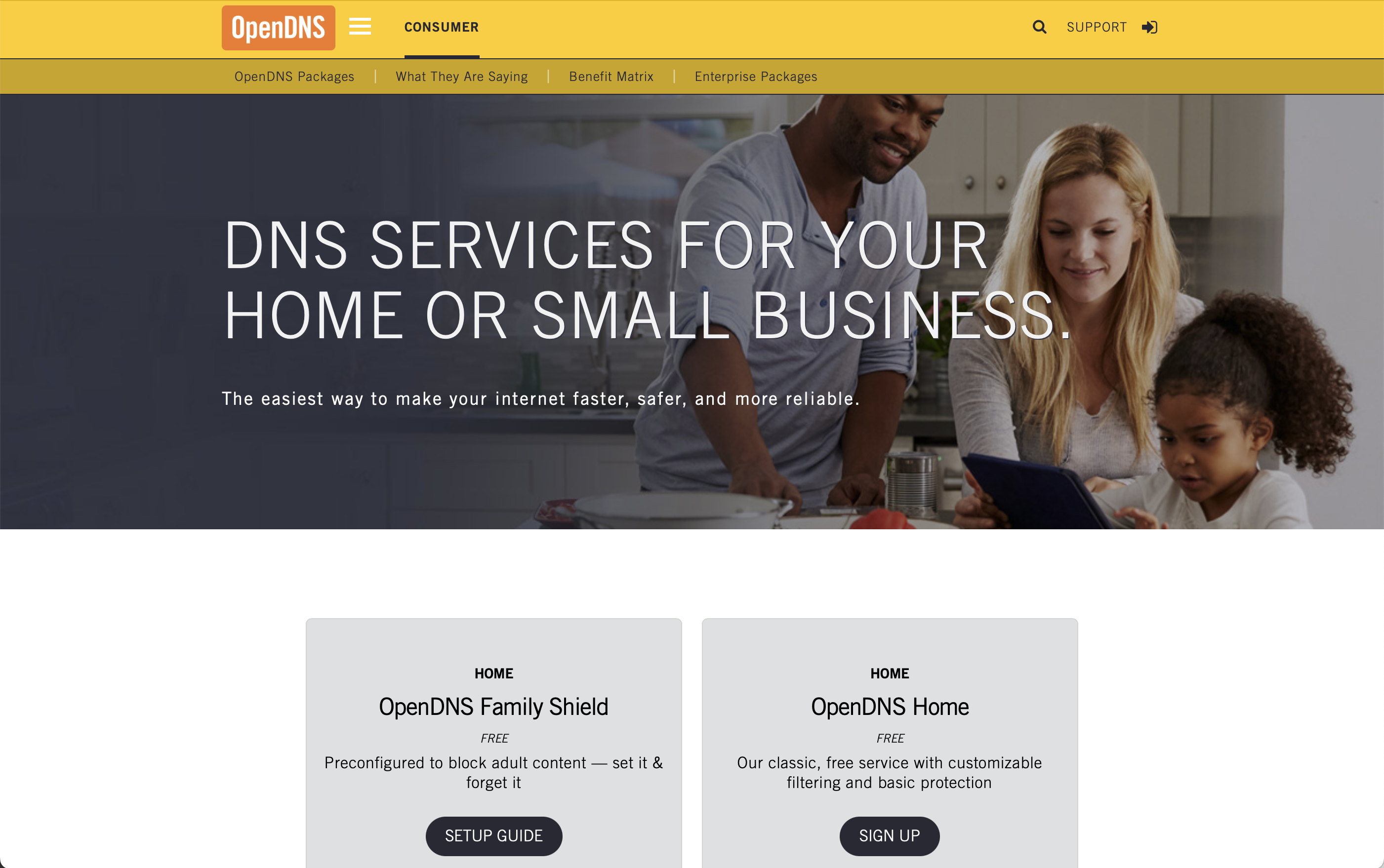 opendns